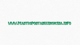 piantespontaneeincucina.info/